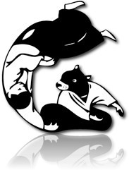 Aikido Aiki Kai